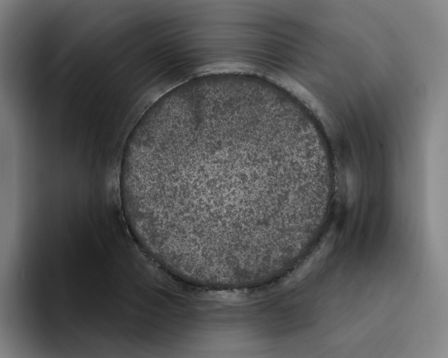 X0000094940937200712271610