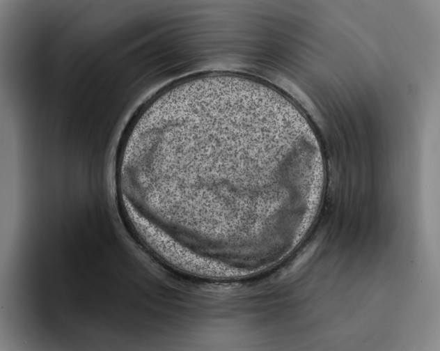 X0000094940939200712271610