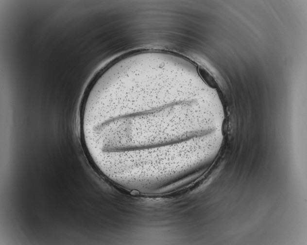 X0000094940940200712271610