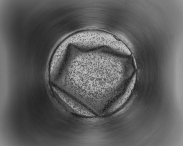X0000094940948200712271610
