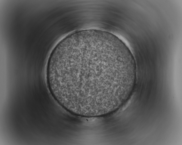 X0000094940949200712271610