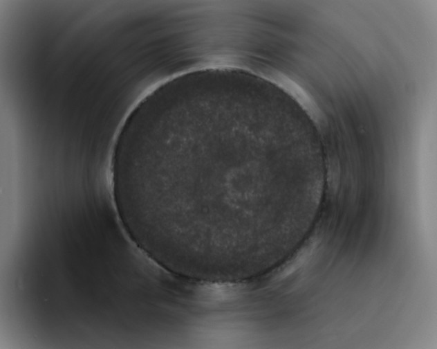 X0000094940950200712271610