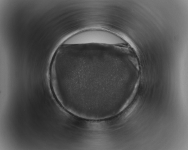 X0000094940951200712271610