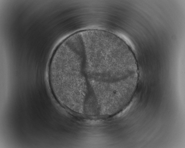 X0000094940952200712271610