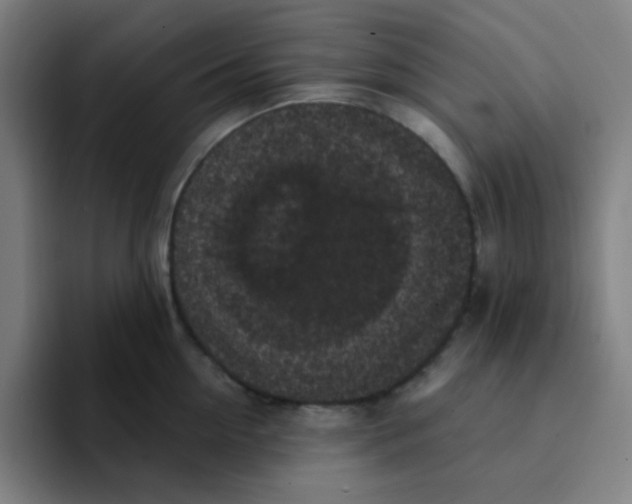 X0000094940954200712271610