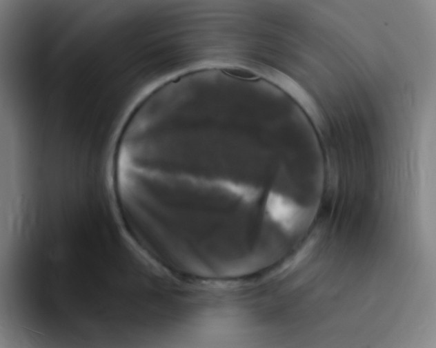 X0000094940958200712271610