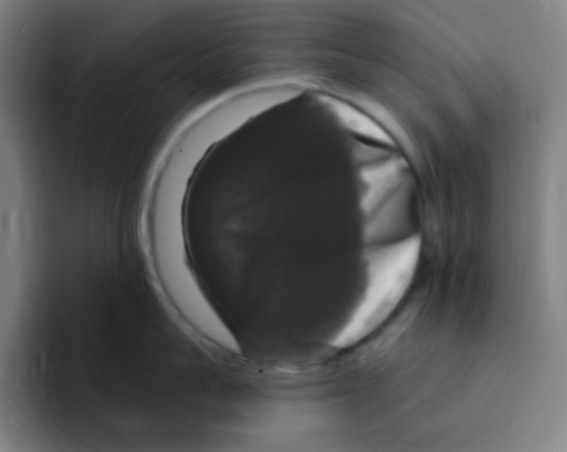 X0000094940959200712271610