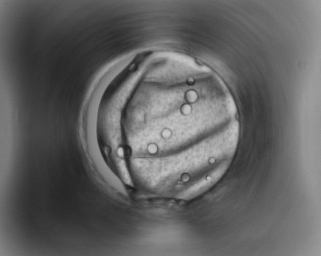 X0000094940960200712271610