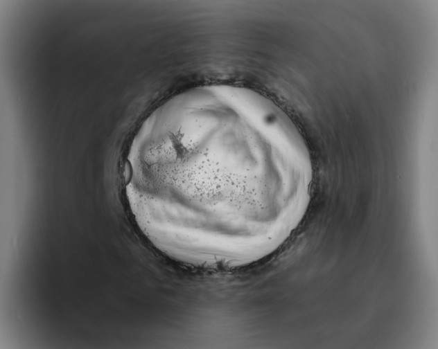 X0000094940961200712271609