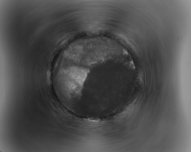 X0000094940964200712271609