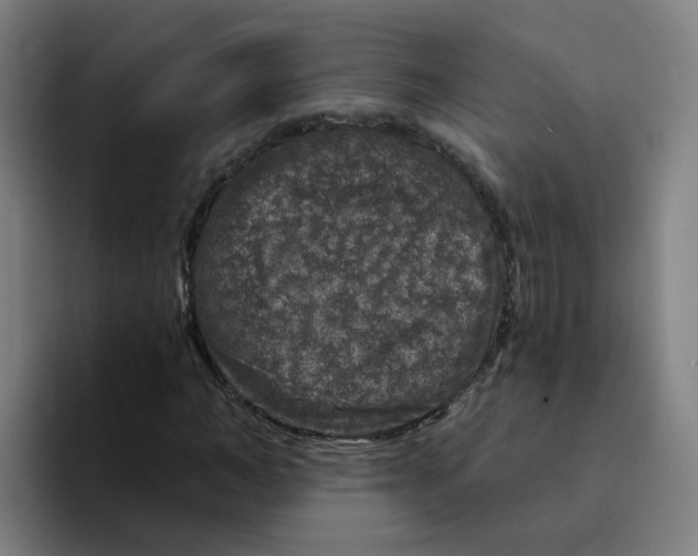 X0000094940966200712271609