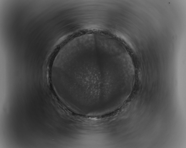 X0000094940968200712271609
