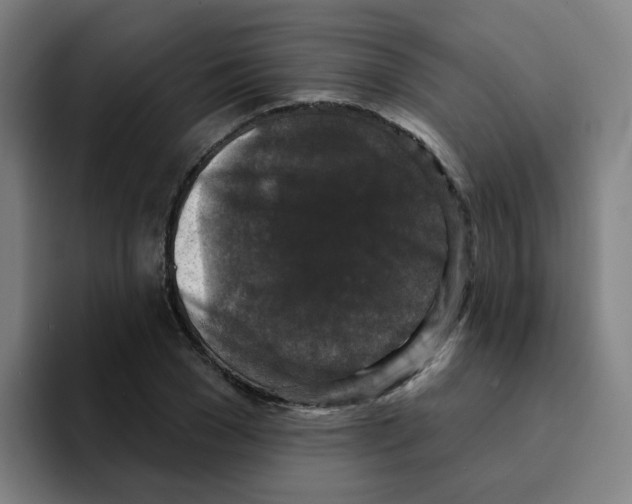 X0000094940977200712271609