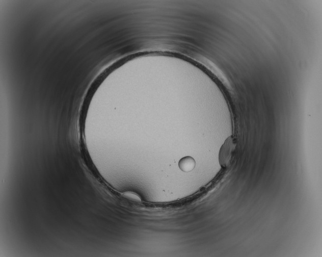 X0000094940980200712271609