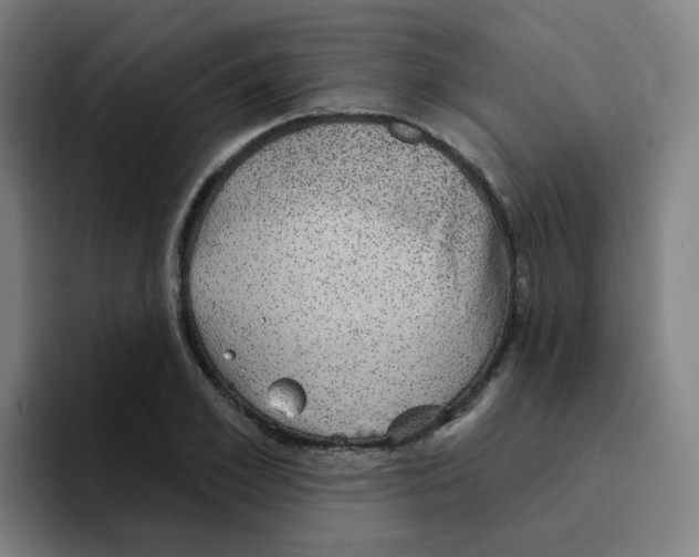 X0000094940981200712271609