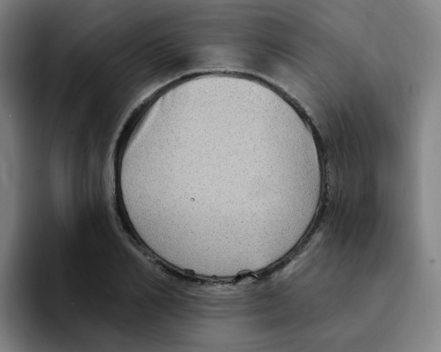 X0000094940982200712271609