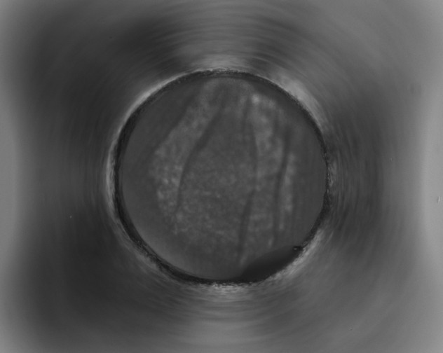 X0000094940983200712271609