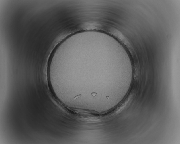X0000094940986200712271609