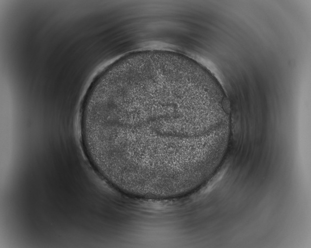 X0000094940987200712271609