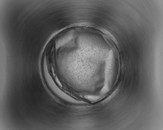 X0000094940989200712271609