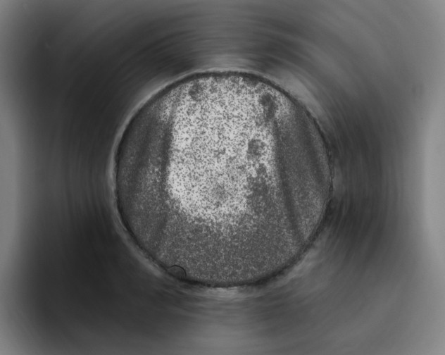 X0000094940990200712271609