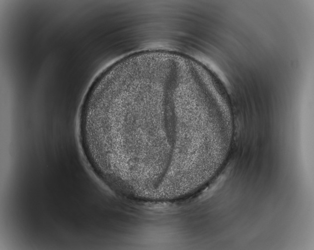 X0000094940991200712271609