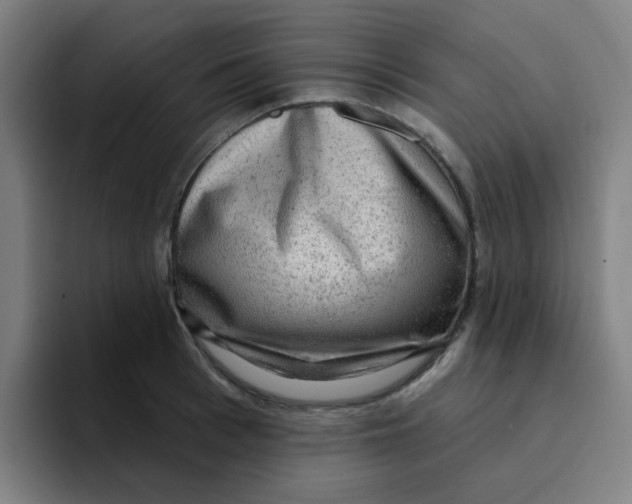 X0000094940993200712271609
