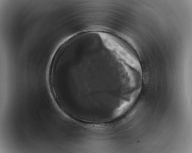 X0000094940995200712271609