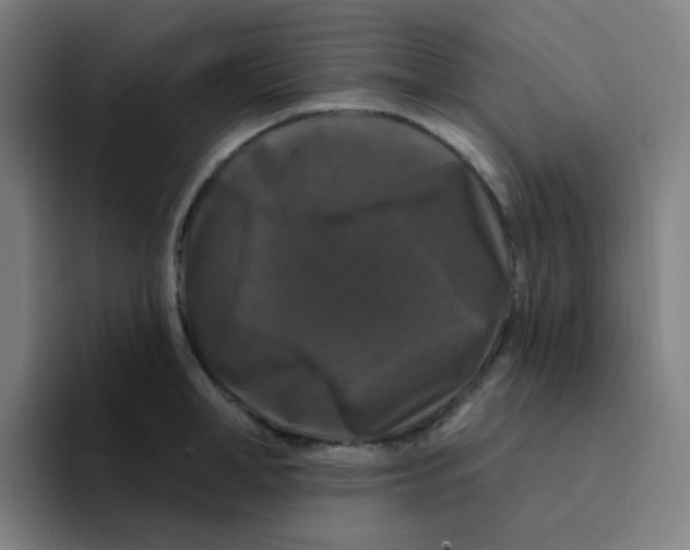 X0000094940998200712271609