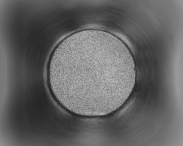 X0000094940999200712271609