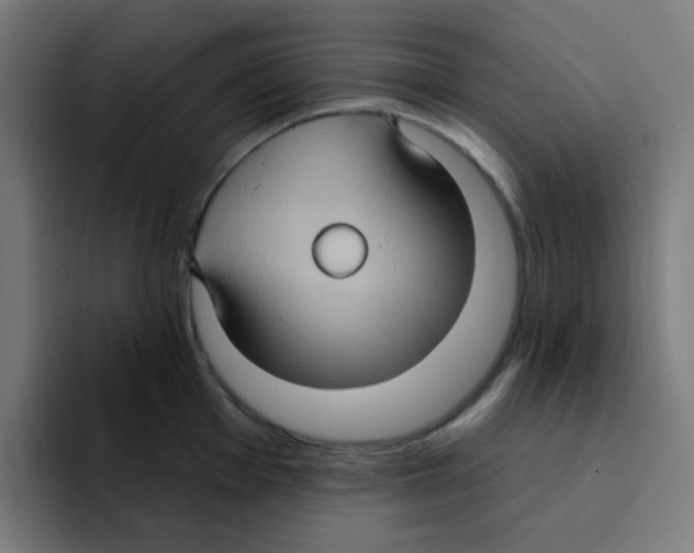 X0000094941001200712271609