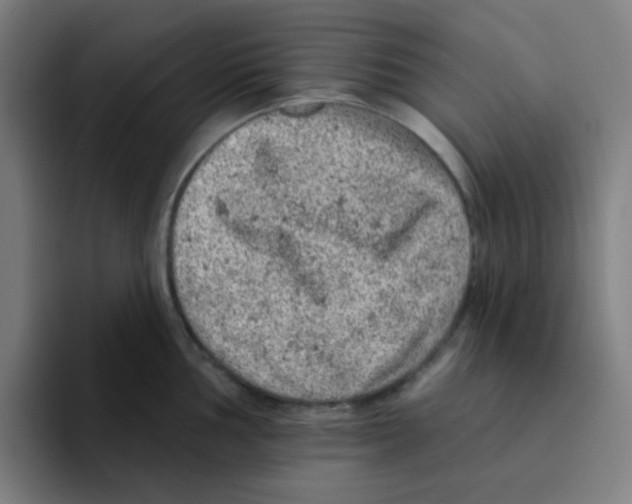 X0000094941002200712271609