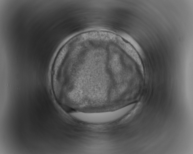 X0000094941004200712271609