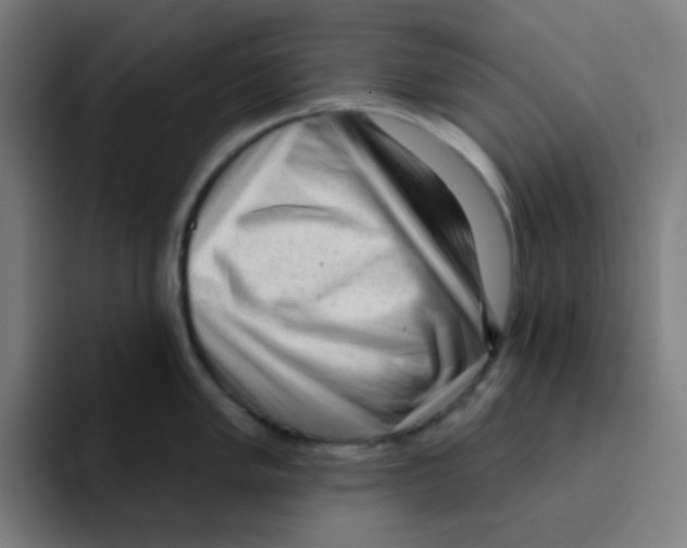 X0000094941005200712271609