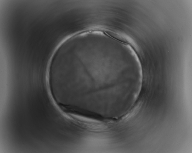 X0000094941007200712271609