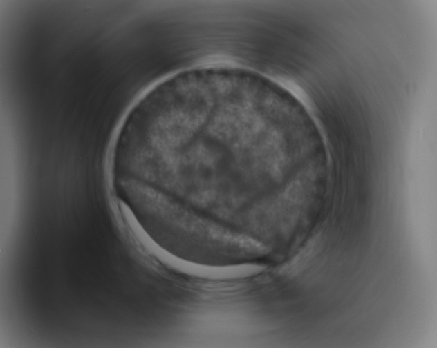 X0000094941008200712271609