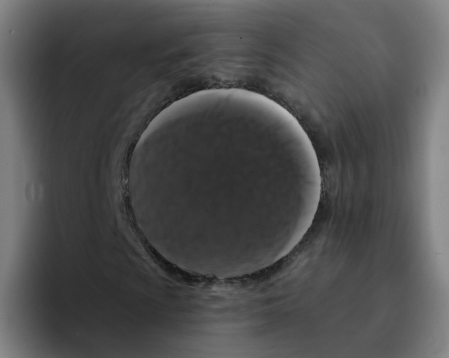 X0000094941009200712271608