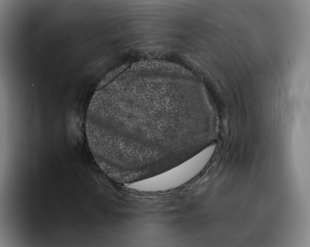 X0000094941010200712271608