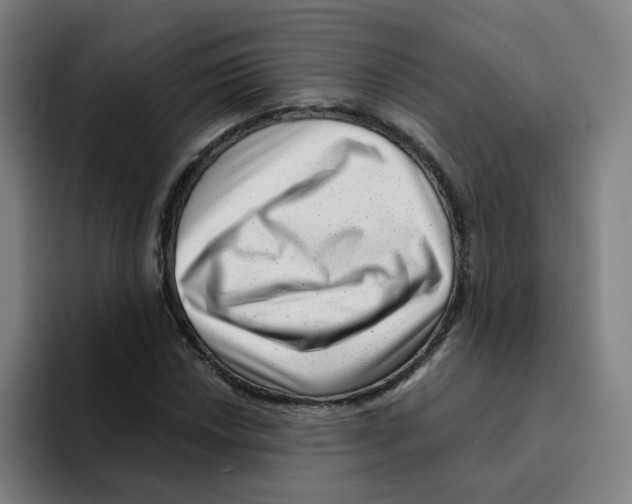 X0000094941018200712271608