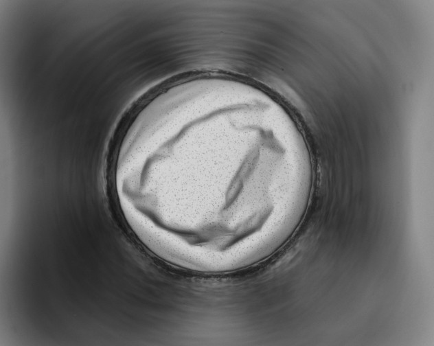 X0000094941020200712271608