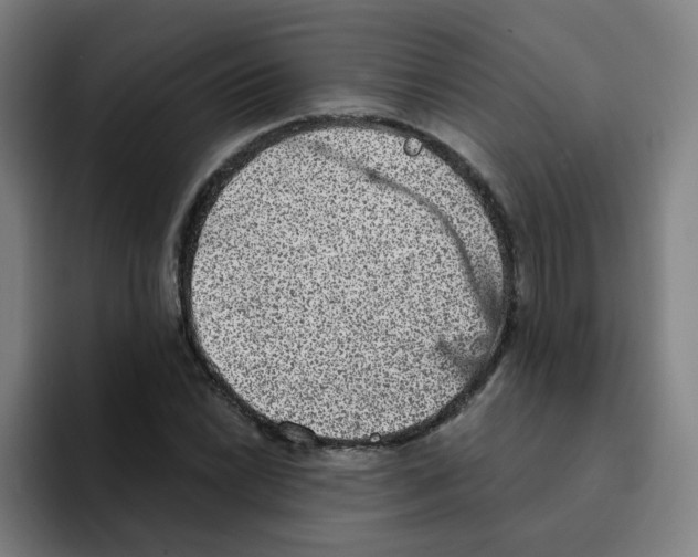 X0000094941022200712271608