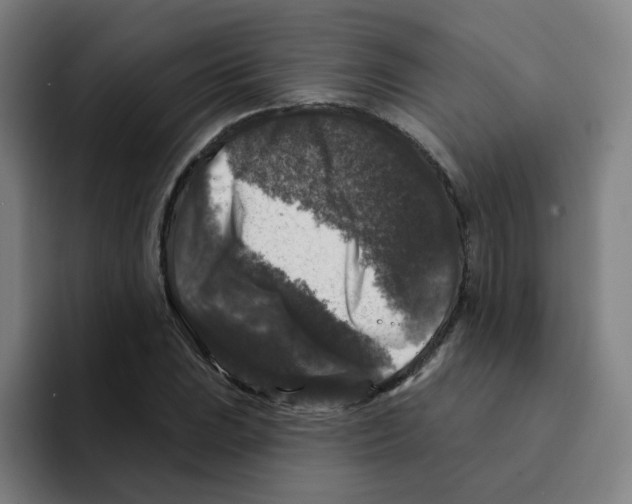 X0000094941023200712271608