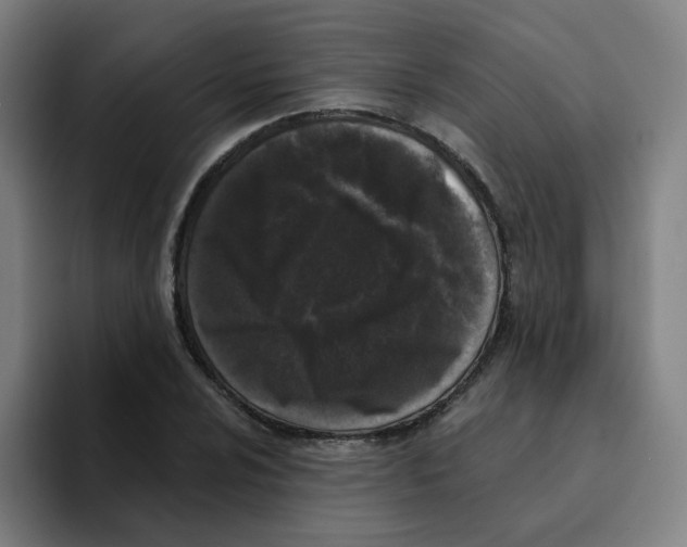 X0000094941024200712271608