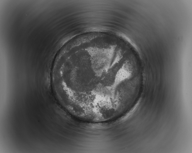 X0000094941025200712271608