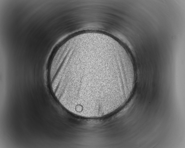 X0000094941029200712271608