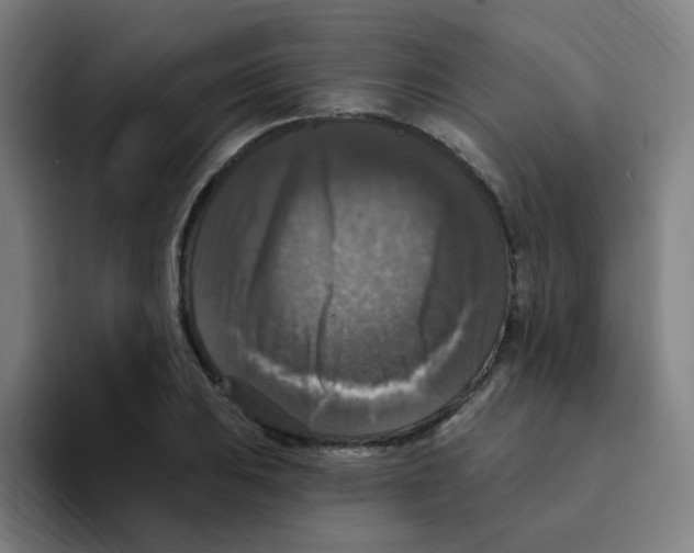 X0000094941031200712271608