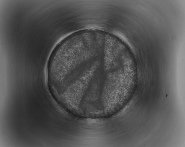 X0000094941032200712271608