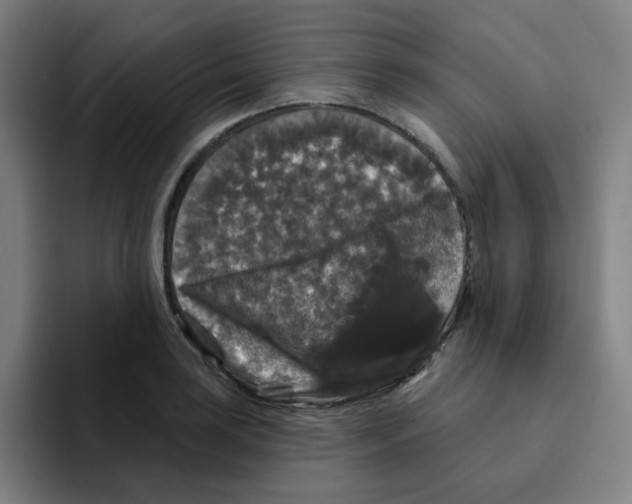 X0000094941035200712271609