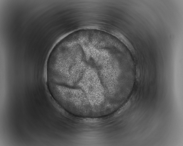 X0000094941036200712271609