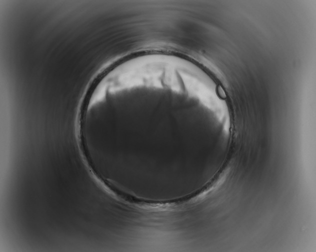 X0000094941037200712271609